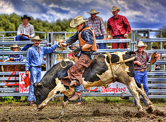 rodeo picture by Trevor Dennis, New Zealand